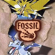 Fossil Expansion